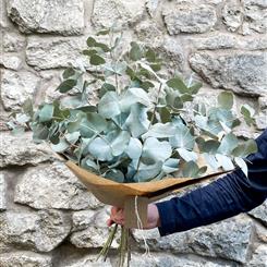 Eucalyptus Bunch